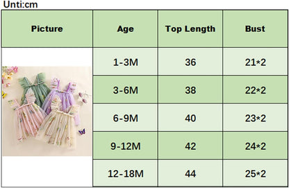 Baby Girl Halloween Costume Butterfly Wing Mesh Flower Sleeveless Tulle Fairy Romper Dress Birthday Tutu Dress