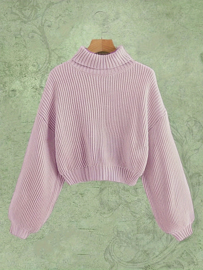 Turtle Neck Elegant Long Sleeve Sweater