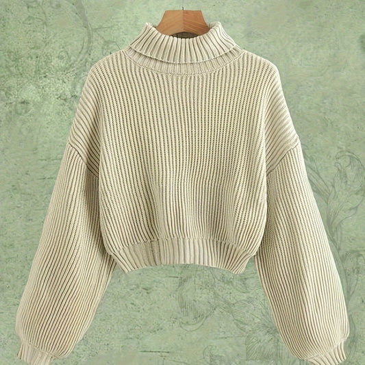 Turtle Neck Elegant Long Sleeve Sweater