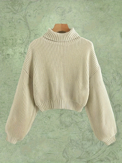 Turtle Neck Elegant Long Sleeve Sweater