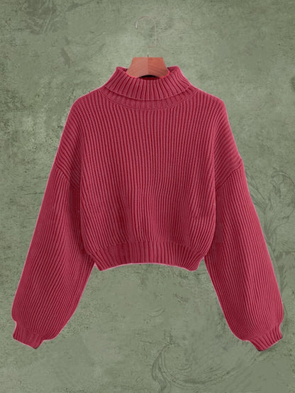Turtle Neck Elegant Long Sleeve Sweater