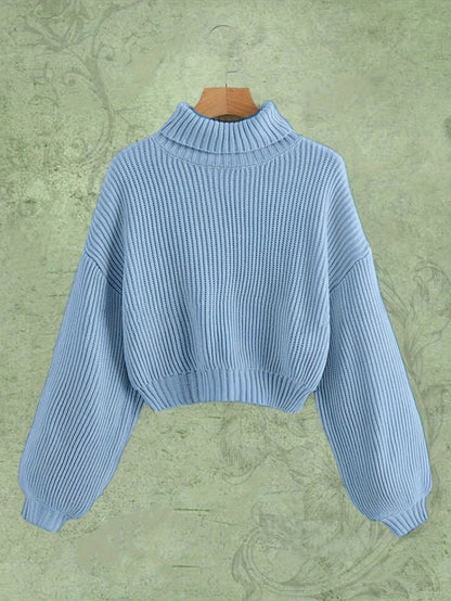 Turtle Neck Elegant Long Sleeve Sweater