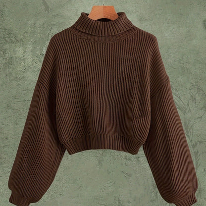 Turtle Neck Elegant Long Sleeve Sweater