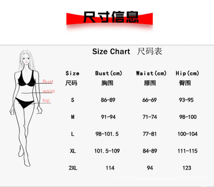 3 Piece Bikini Swimsuit Women's Split Swimsuit Bikini