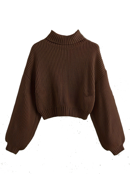 Turtle Neck Elegant Long Sleeve Sweater