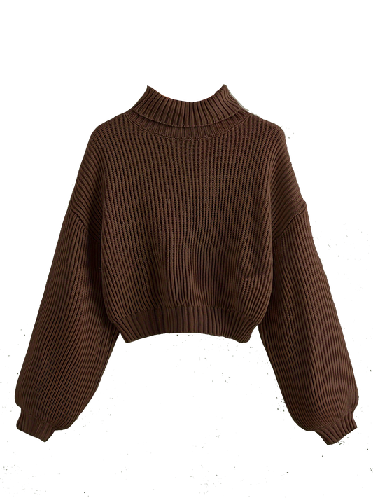 Turtle Neck Elegant Long Sleeve Sweater